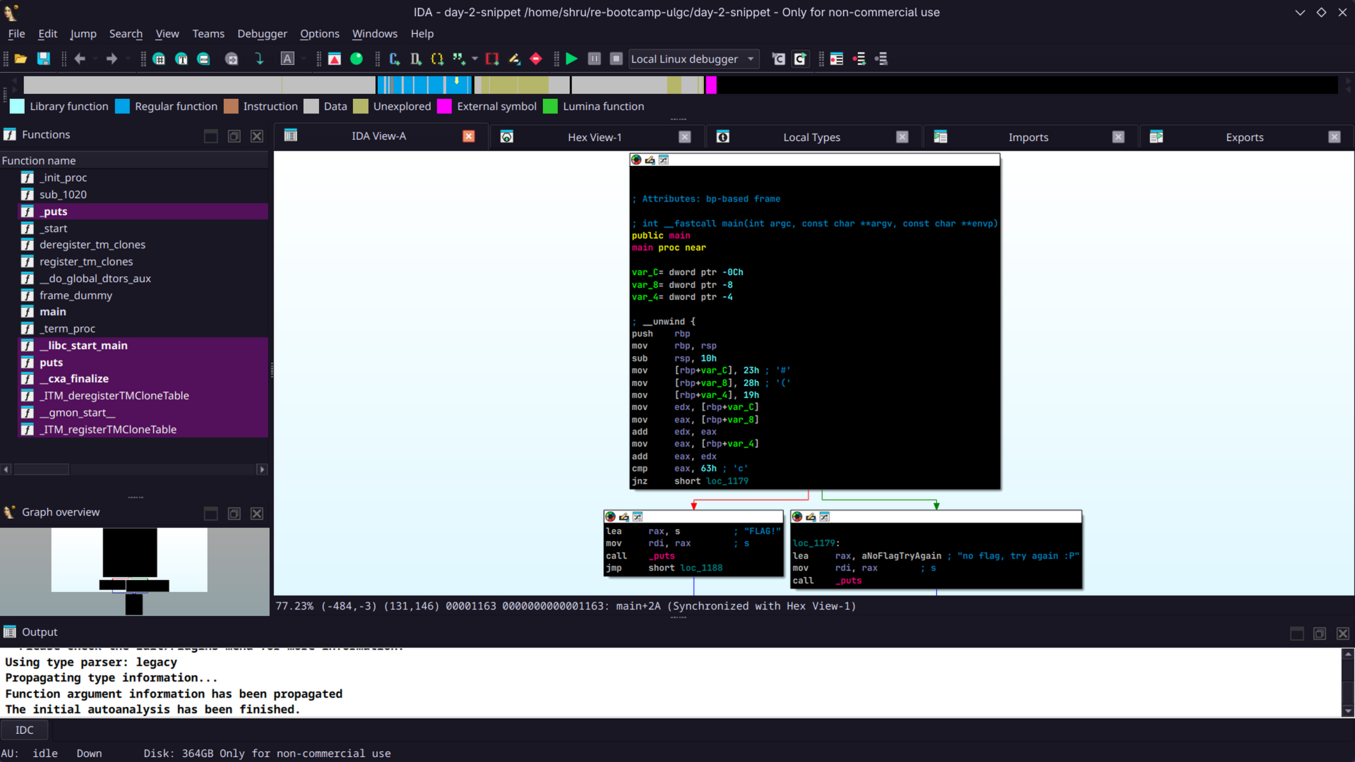 IDA Screenshot